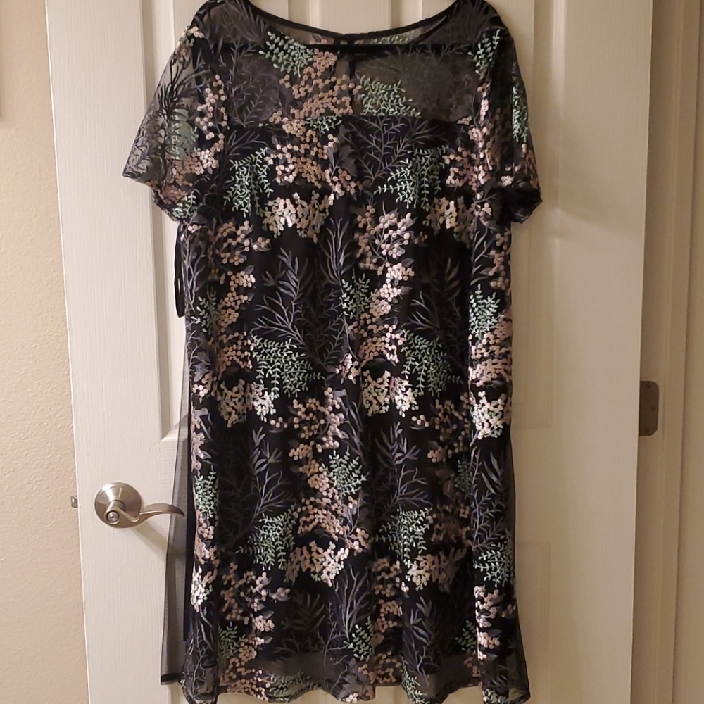 Beautiful embroidered lined dress.